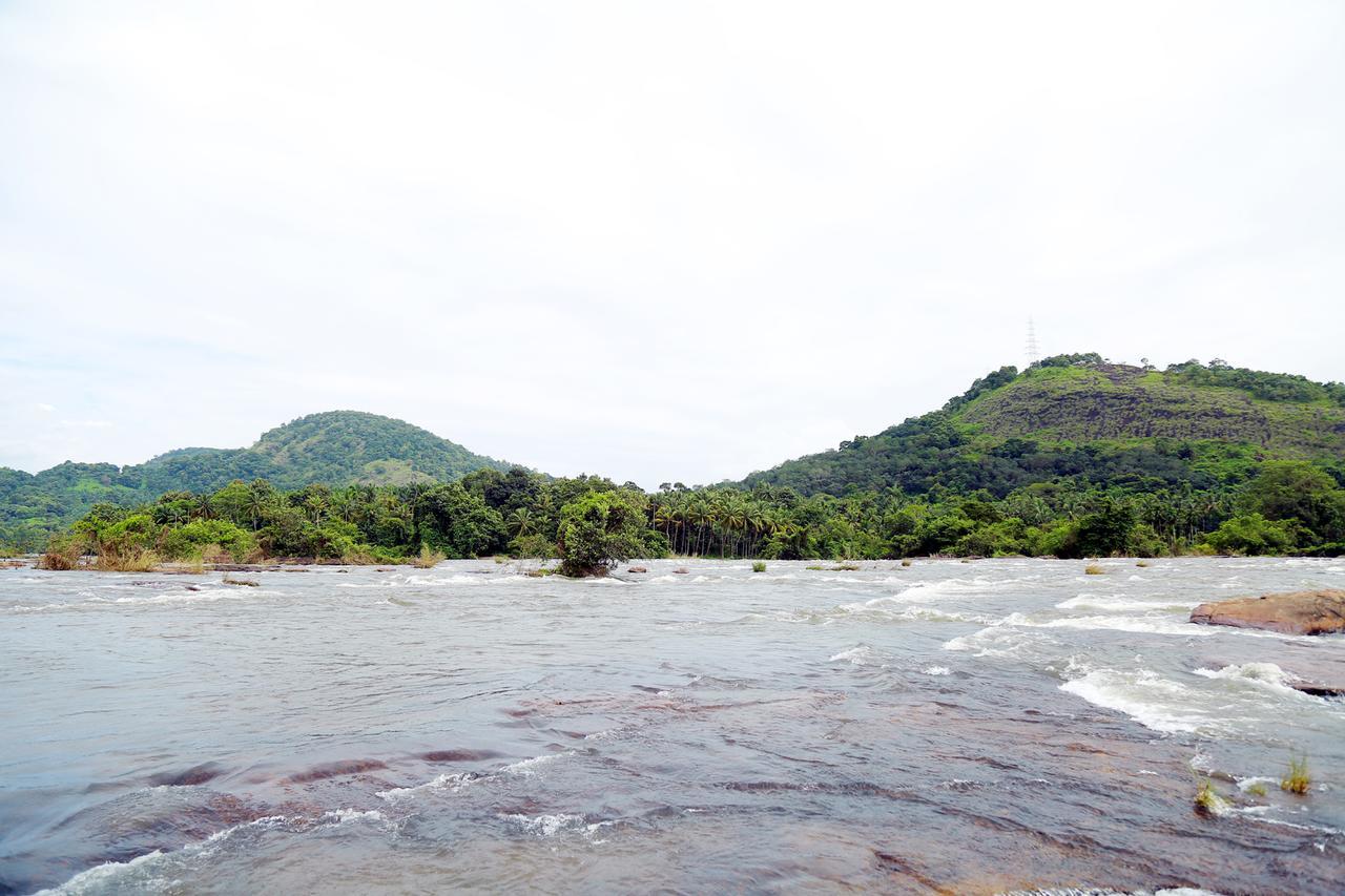Athirapilly River Resort Athirappilly Exteriér fotografie